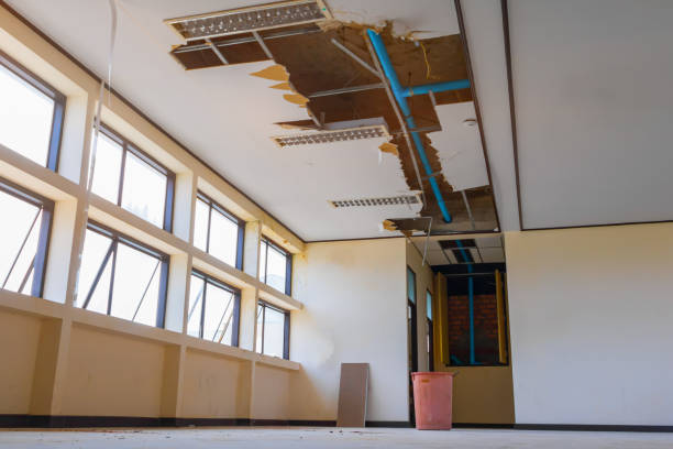 Best Water damage restoration services  in San Lorenzo, CA