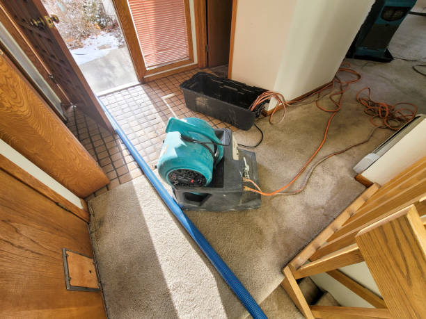 Best Commercial water damage restoration  in San Lorenzo, CA