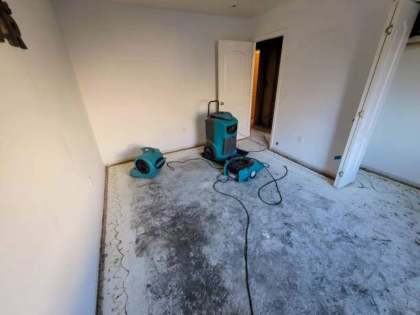 Carpet water damage restoration in CA