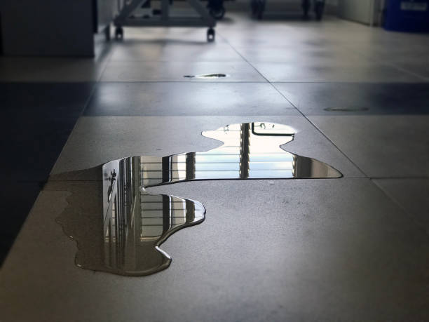 Best Water damage restoration near me  in San Lorenzo, CA