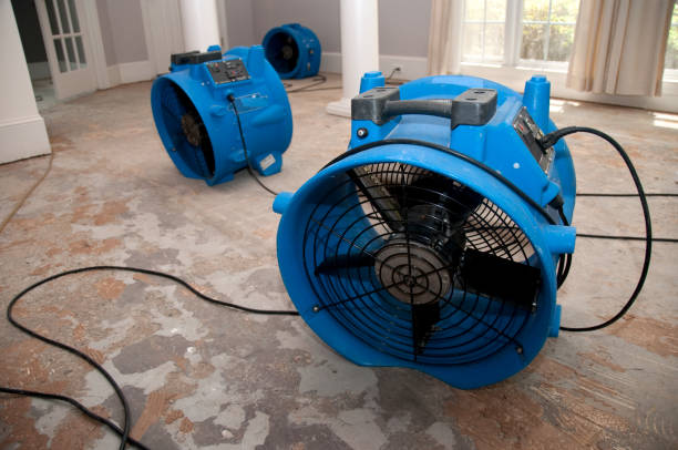Best Water damage contractors near me  in San Lorenzo, CA