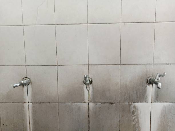 Best Carpet water damage restoration  in San Lorenzo, CA