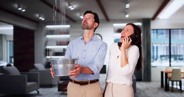 Best Fire Damage Restoration  in San Lorenzo, CA