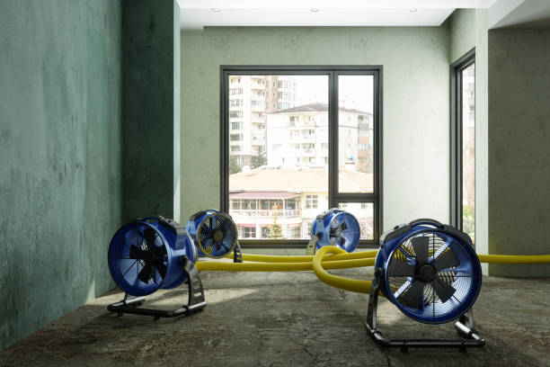 Sewage cleanup and water damage restoration in CA