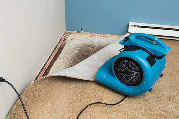 Best Basement water damage restoration  in San Lorenzo, CA