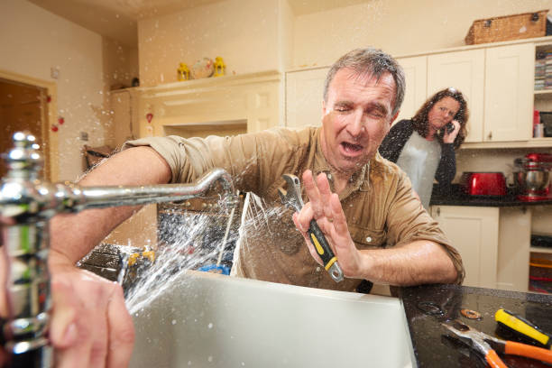 Best Water damage cleanup near me  in San Lorenzo, CA